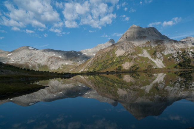 8010999124_da1314d98c_c